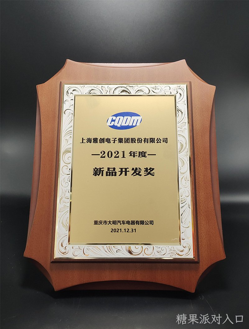 2021大明汽车电器新品开发奖